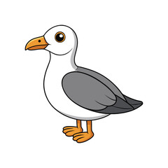  Charming Andean Gull Illustration