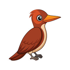  Charming Andean Woodcreeper Illustration