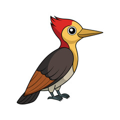  Stunning Andean Woodpecker Design