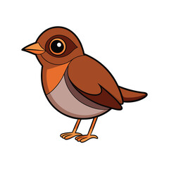  Stunning Antpitta Bird Detailed Illustration