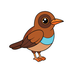  Realistic Antthrush Bird Illustration