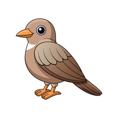  Colorful Representation of Arabian Babbler Bird