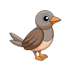  Realistic Arabian Babbler Bird Illustration