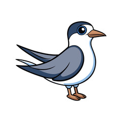  Colorful Representation of Arctic Tern Bird