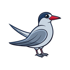  Vibrant Arctic Tern Bird Detailed Illustration