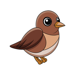  Realistic Asian Brown Flycatcher Bird Illustration