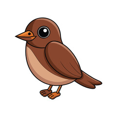  Colorful Representation of Asian Brown Flycatcher