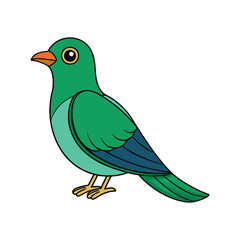  Realistic Asian Emerald Cuckoo Bird Illustration