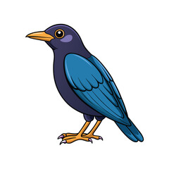  Stunning Asian Glossy Starling Colorful Illustration