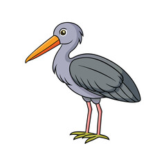  Realistic Asian Openbill Bird Illustration