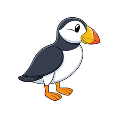  Charming Atlantic Puffin Bird Illustration