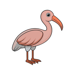  Stunning Australian Ibis Bird Representation