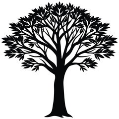 Obraz premium Mesquite tree silhouette 
