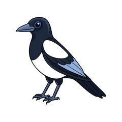  Charming Australian Magpie Bird Illustration