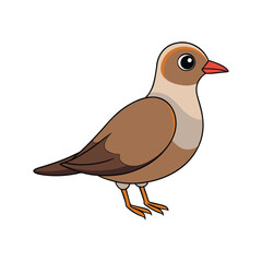  Dynamic Australian Pratincole Bird Artwork