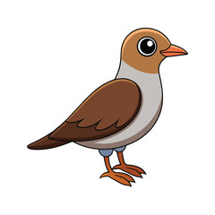  Stunning Australian Pratincole Bird Representation