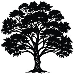 Banyan tree silhouette
