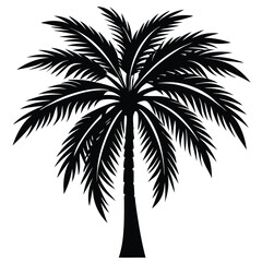palm tree silhouette