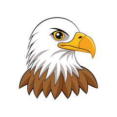  Stunning Bald Eagle Bird Representation