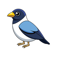  Elegant Bali Myna Bird Artwork