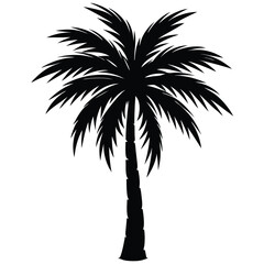 Obraz premium palm tree silhouette