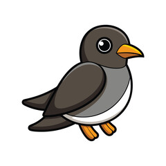  Realistic Band-Rumped Storm Petrel Illustration