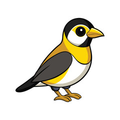  Elegant Bananaquit Bird Artwork