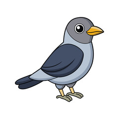  Vibrant Bar-Bellied Cuckooshrike Artwork