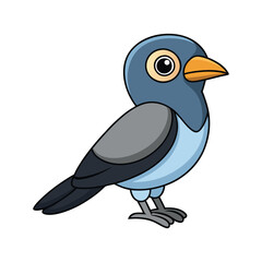  Stunning Bar-Bellied Cuckooshrike Design