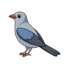  Detailed Bar-Bellied Cuckooshrike Depiction