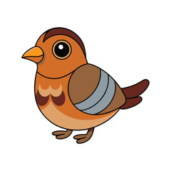  Stunning Barred Buttonquail Design