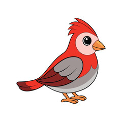  Colorful Representation of Beautiful Firetail