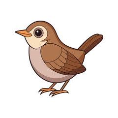  Realistic Bewick's Wren Bird Illustration