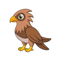  Colorful Representation of Bicolored Hawk