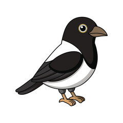  Colorful Representation of Black-backed Puffback