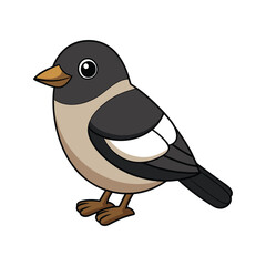  Stunning Black-banded Flycatcher Colorful Illustration