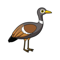  Vivid Black-Bellied Bustard Bird Design