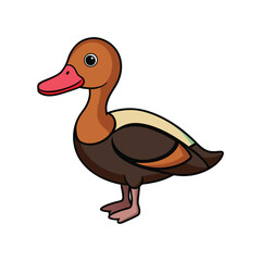  Charming Black-Bellied Whistling Duck Artwork