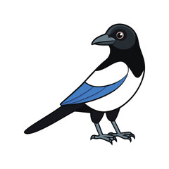  Stunning Black-Billed Magpie Bird Representation