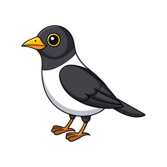  Charming Black-Breasted Thrush Bird Illustration