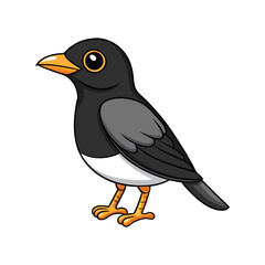  Stunning Black-Breasted Thrush Bird Representation