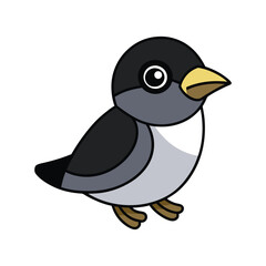  Vivid Black-Capped Becard Bird Design