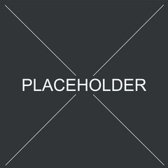 Placeholder Template Insert Your Image Here	
