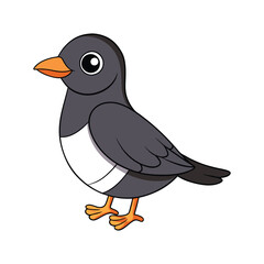  Vivid Black-Capped Piprites Bird Design