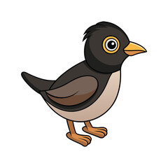  Stunning Black-Capped Piprites Bird Representation