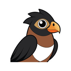  Elegant Black-Collared Hawk Bird Artwork