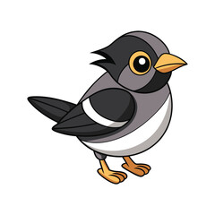  Stunning Black-Faced Warbler Design