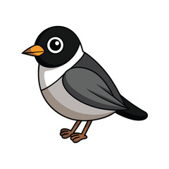  Detailed Black-Faced Warbler Depiction