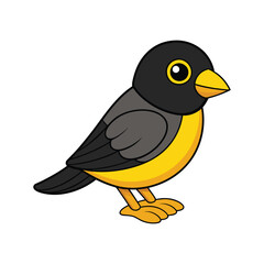  Stunning Black-Headed Canary Design