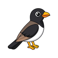  Detailed Black-Headed Trogon Depiction
